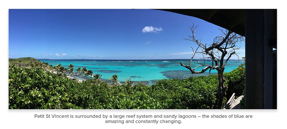 raw-wide_view_b.jpg