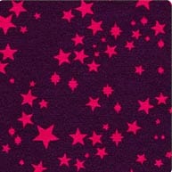 cassis & fuchsia