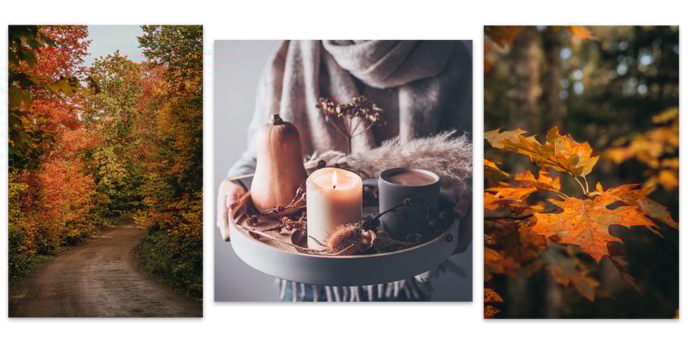 raw-autumn.jpg
