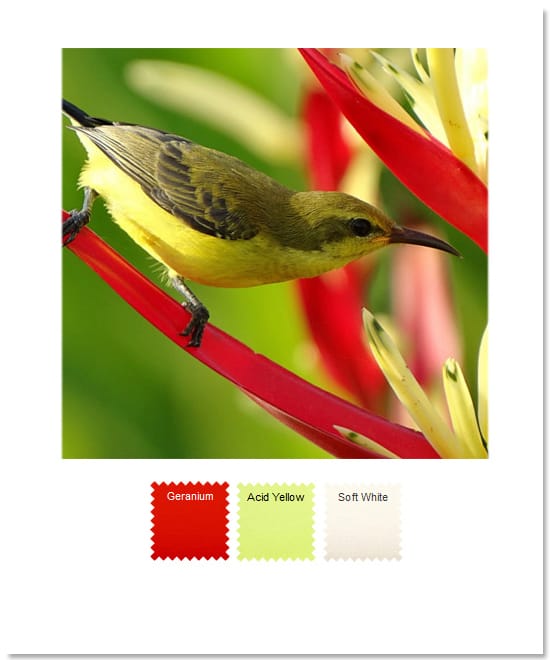 raw-spring_4.jpg