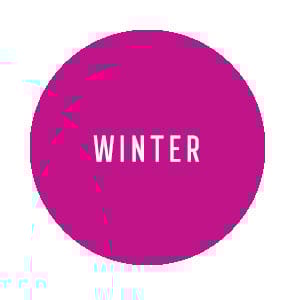 raw-link_winter.jpg