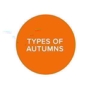 raw-link_autumns.jpg
