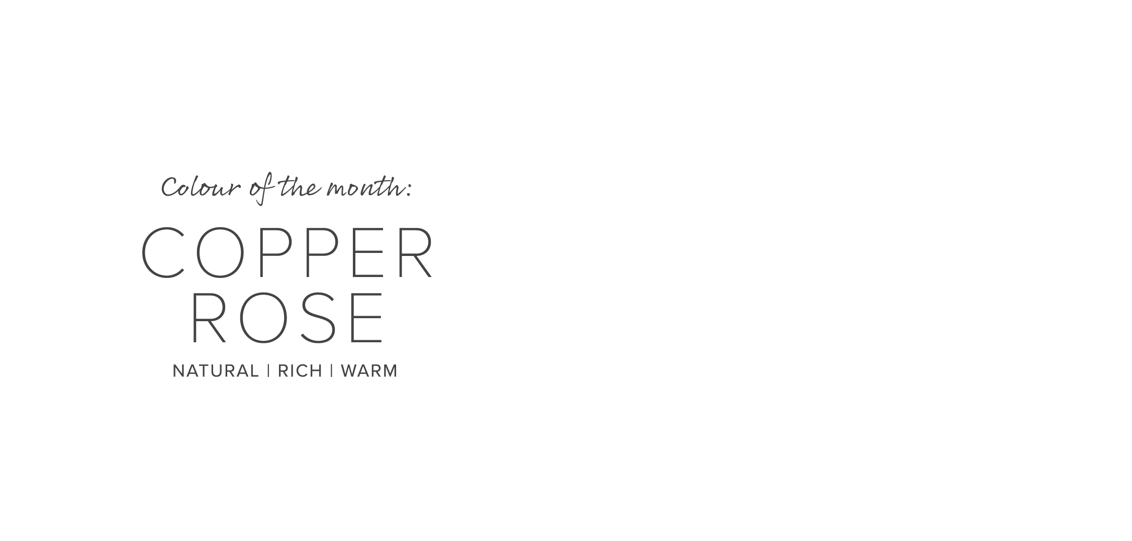 raw-colour_of_the_month_copper_rose_overlay.png