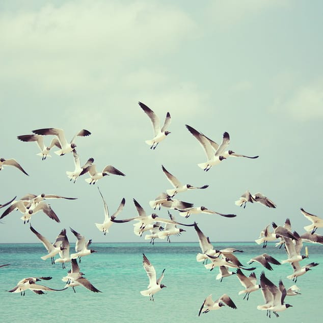 raw-header_summer.jpg