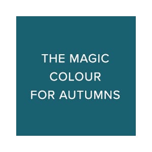 raw-link_autumn.jpg