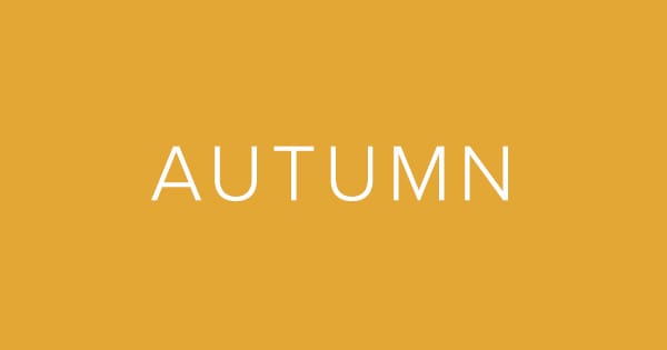 raw-link_aw20_autumn.jpg
