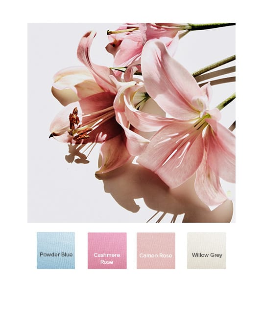 raw-ss21_summer_b.jpg