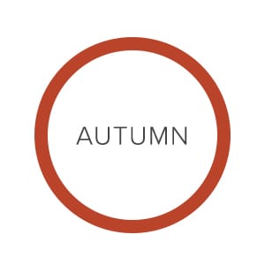 raw-link_autumn.jpg