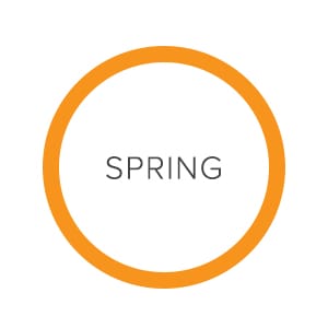 raw-link_spring.jpg