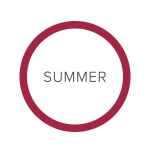 raw-link_summer.jpg