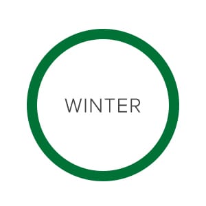 raw-link_winter.jpg
