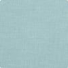 Blue Sage