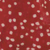 Chestnut Spot