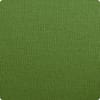 Green Elm