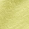 Lichen Yellow