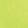 Lime Texture