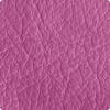 Fuchsia Rose Texture