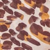 Rich Chocolate Leopard