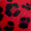 Red Leopard