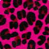 Raspberry Leopard