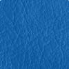 True Blue Texture