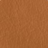 Tan Texture