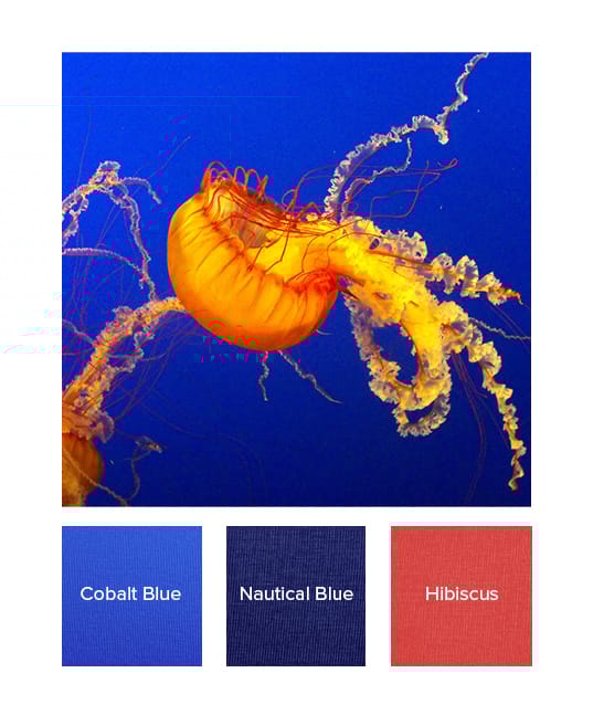 Find Your Spring Colour Palette Kettlewell Colours