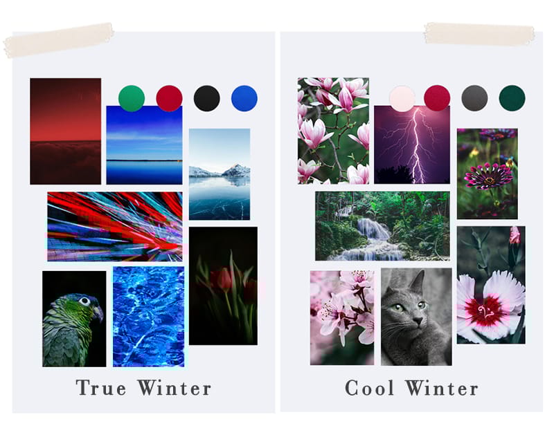 Winter Colour Palette Colour Types Kettlewell Colours