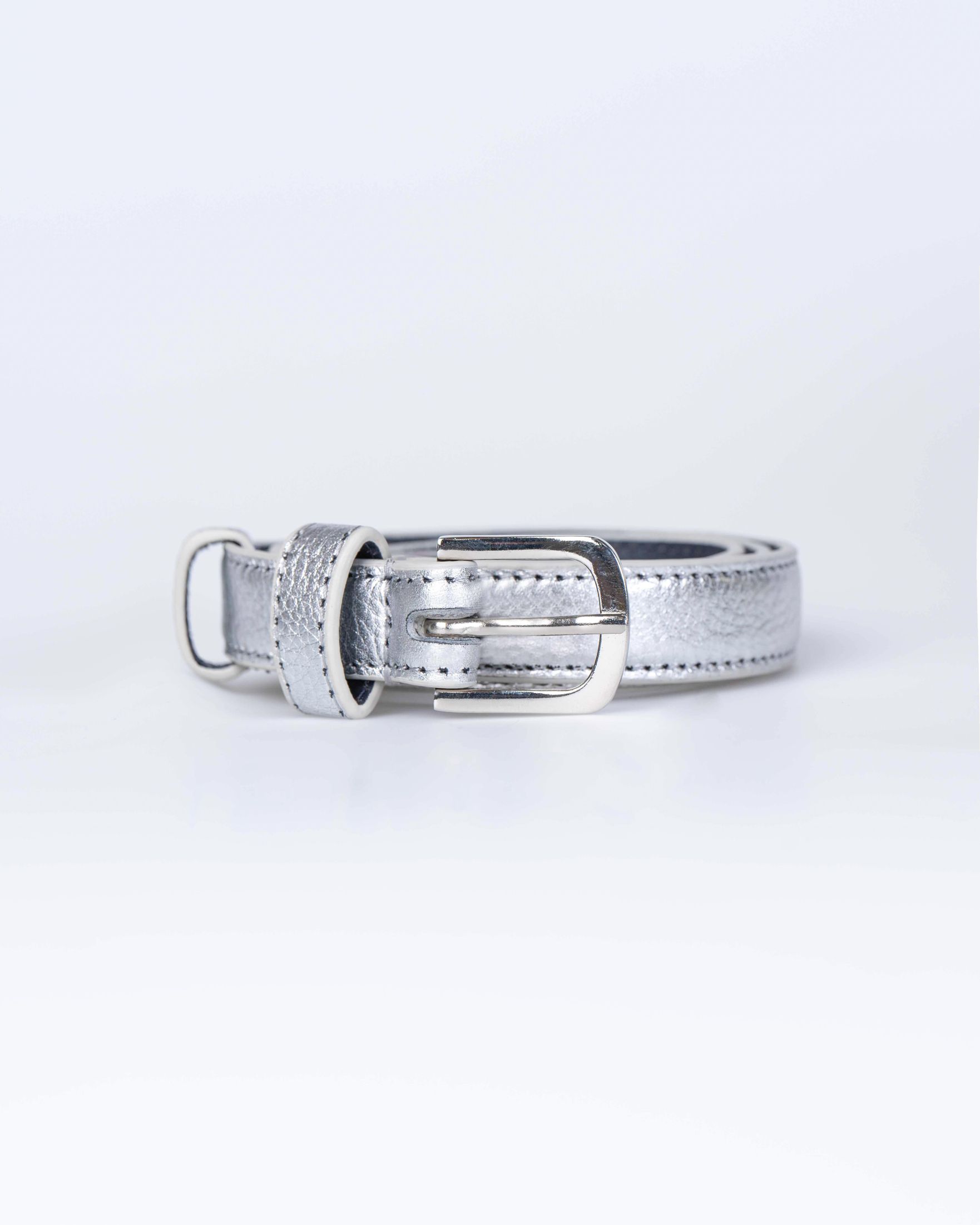 Taylor Metallic Skinny Belt