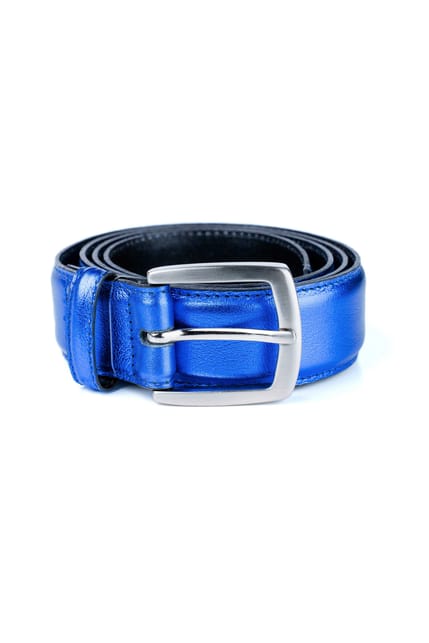 Classic Metallic Belt