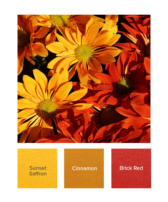 raw-colour_combo_autumn_ss22_g.jpg