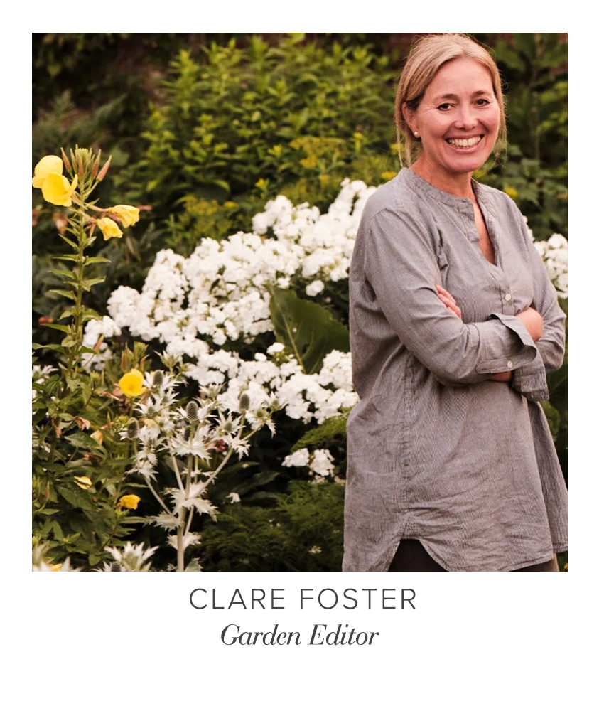 raw-clare_foster.jpg